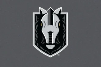 Henderson Silver Knights Vegas Local