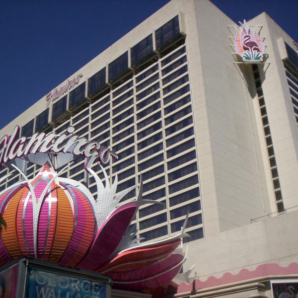 Flamingo Hotel & Casino | Hey BigHead